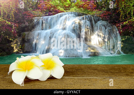 Belle cascade de pittoresque avec forêt d'automne avec blanc et jaune Plumeria flower sur le vieux bois table. Banque D'Images