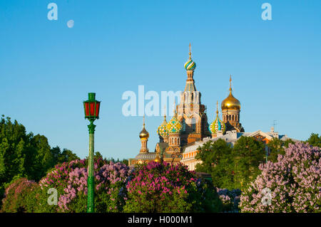 Église de Sauveur sur le sang versé dans la région de Saint Petersburg city Banque D'Images