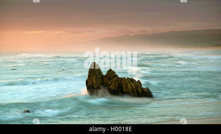 Rochers dans la mer à la Route des Jardins, Afrique du Sud, Buffels Bay Banque D'Images