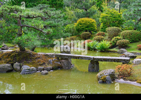 Jardin Japonais typique avec décoration en pierre et l'étang de koi Banque D'Images