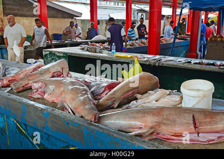 Requins frais à la vente à la Sir Selwyn Selwyn-Clarke marché de poisson de Vicoria, Seychelles, Mahe Banque D'Images