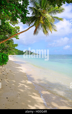 Plage de rêve Anse La Reunion, les Seychelles, La Digue Banque D'Images