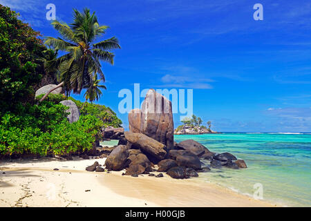 Cocotier et rochers de granit à la plage de rêve Anse Royal, Seychelles, Mahe Banque D'Images