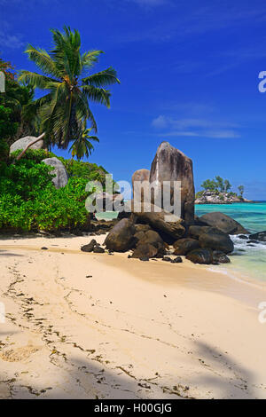 Cocotier et rochers de granit à la plage de rêve Anse Royal, Seychelles, Mahe Banque D'Images