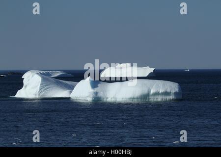 Petit iceberg en bleu Banque D'Images