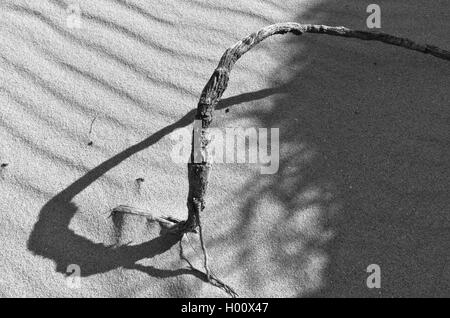 Symbole de l'infini créé par l'effet d'ombre d'une racine, d'une dune de la plage. Algarve, Portugal Banque D'Images