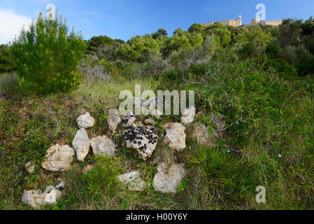 Mur en pierre sèche dans la macchia devant le château de Capdepera, Espagne, Baléares, Majorque, Cala Ratjada Banque D'Images