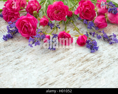 Des petites roses et lavande provence bouquet sur le fond peint en blanc Banque D'Images