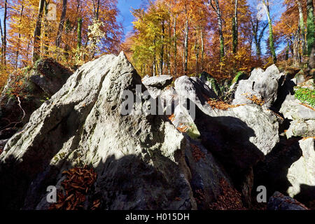 À l'automne de felsenmeer, l'Allemagne, en Rhénanie du Nord-Westphalie, Rhénanie-Palatinat, Hemer Banque D'Images