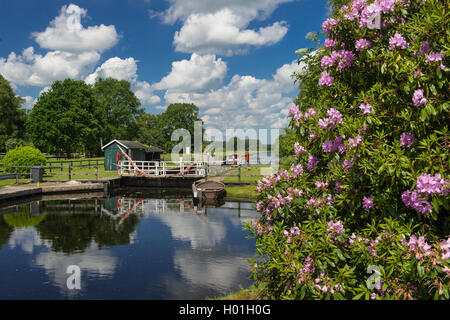 Canal Elisabethfehn au printemps, l'ALLEMAGNE, Basse-Saxe Oldenburger, Elisabethfehn Muensterland Banque D'Images