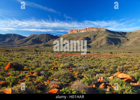 Banc en face de la montagnes Nuweveld, Afrique du Sud, Western Cape, Karoo National Park Banque D'Images