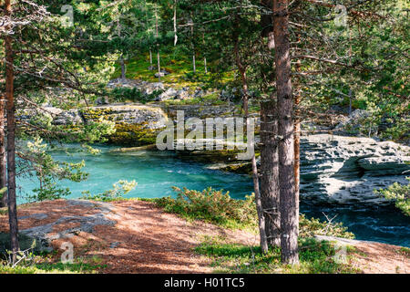 La rivière Sjoa paysage dans le parc national de Jotunheimen, Oppland, Norvège Banque D'Images