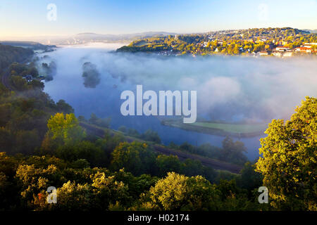 Matin brouillard dans la vallée de la Ruhr en automne, l'Allemagne, en Rhénanie du Nord-Westphalie, Ruhr, Witten Banque D'Images