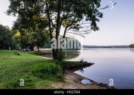 Nageur a tôt le matin et nager dans le lac paisible Stechlin, Großer Stechlinsee, Brandebourg, Allemagne Banque D'Images