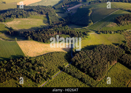 Vue aérienne du terrain vallonné des paysages forestiers et en été, l'Allemagne, en Rhénanie du Nord-Westphalie, Rhénanie-Palatinat, Eslohe Banque D'Images