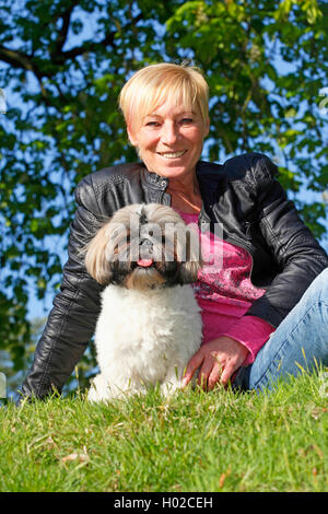 Shih Tzu (Canis lupus f. familiaris), avec mistress, Allemagne Banque D'Images