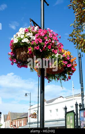 Paniers suspendus Banque D'Images