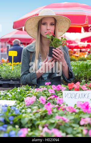 Attractive blonde woman with straw hat holding pot de fleurs odorantes et de fleurs sur le marché. Banque D'Images