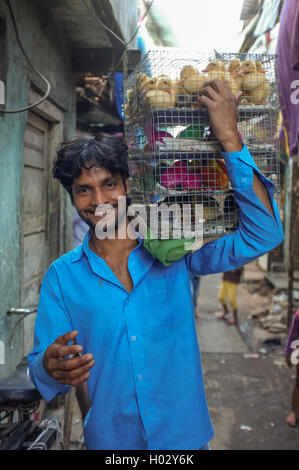 MUMBAI, INDE - 10 janvier 2015 : Indian worker carrying cage pleine de jeunes volailles. Banque D'Images