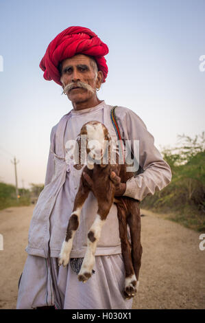 Région GODWAR, INDE - 13 février 2015 : personnes âgées Rabari tribesman stands et est titulaire d'goatling. Rabari Rewari ou êtes un Indien comm Banque D'Images