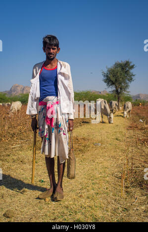 Région GODWAR, INDE - 14 février 2015 : jeune berger de la tribu Rabari sans turban se distingue sur le terrain avec le bétail. Détient une hache Banque D'Images