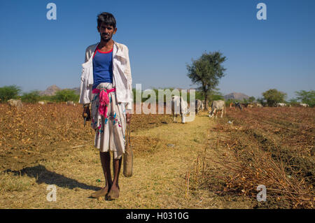 Région GODWAR, INDE - 14 février 2015 : jeune berger de la tribu Rabari sans turban se distingue sur le terrain avec le bétail. Détient une hache Banque D'Images