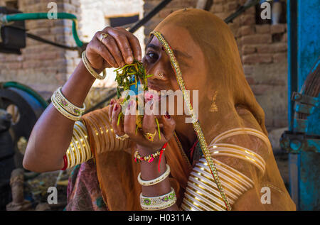 Région GODWAR, INDE - 14 février 2015 : Jeune femme indienne porte saree et bracelets de bras traditionnelles décorées de bijoux a f Banque D'Images