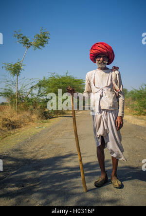 Région GODWAR, INDE - 14 février 2015 : personnes âgées Rabari tribesman avec big red turban et cane se tient sur la route. Rabari ou Rewari Banque D'Images