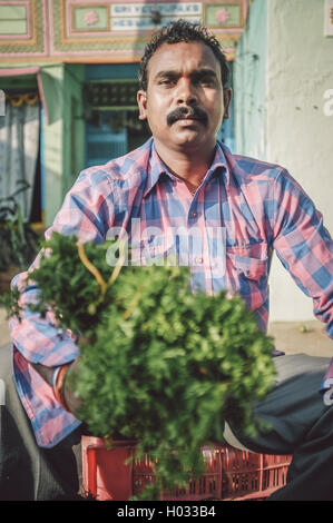 KAMALAPURAM, INDE - 02 février 2015 : Indian man vend des légumes sur un marché proche de Hampi. Post-traités avec grain, textur Banque D'Images