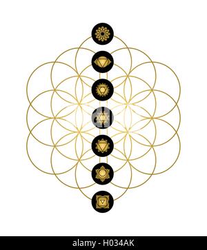 Yoga chakras principaux icônes or sur Fleur de vie. Illustration de la géométrie sacrée minimaliste. Vecteur EPS10. Illustration de Vecteur