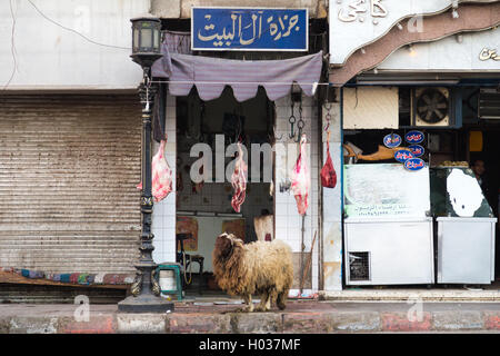 Louxor, Egypte - 11 février 2016 : Les moutons avec pieds en avant d'une boucherie, prouve que la viande est fraîche. Banque D'Images