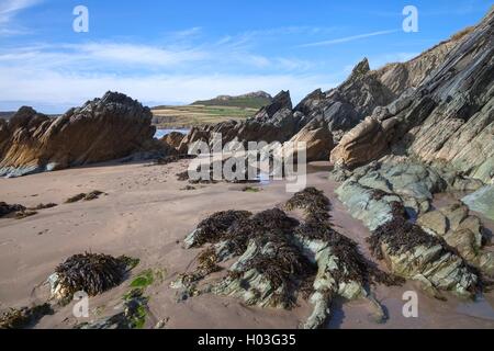 Whitesands Bay, Pembrokeshire, Pays de Galles, Grande-Bretagne Banque D'Images