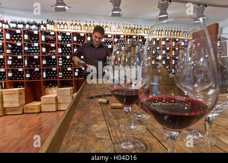 Dégustation professionnelle de vin rouge en cours au magasin de vins Bordeaux Classique à St-Emilion Gironde France Banque D'Images