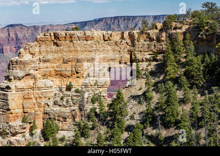 Les visiteurs qui prennent dans la vue, la fenêtre de l'Ange, Grand Canyon North Rim, Arizona, USA Banque D'Images