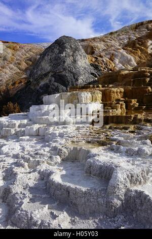 Terrasses inférieures, Mammoth Hot Springs, Parc National de Yellowstone Banque D'Images