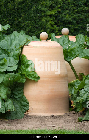 Forcers à rhubarbe - pots en forme de cloche avec un couvercle couvert ouvrant en haut. Utilisés pour couvrir la rhubarbe pour limiter la photosynthèse, ils Banque D'Images