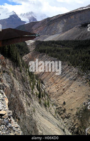 Le Glacier Skywalk attraction touristique dans le parc national Jasper, Alberta, Canada Banque D'Images