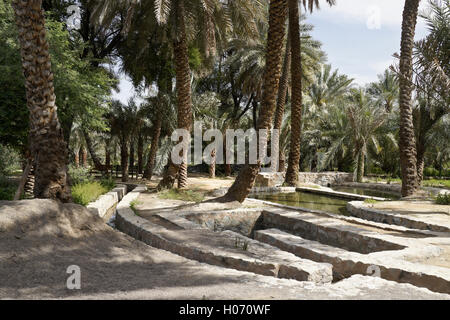 Falaj (système d'irrigation) en date palm grove, Hatta Heritage Village, Hatta, Dubaï, Émirats Arabes Unis Banque D'Images