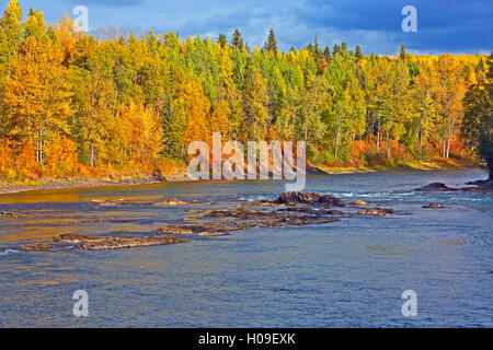 Bel River-Scenery avec trembles en premier couleurs d'automne, Canada Banque D'Images
