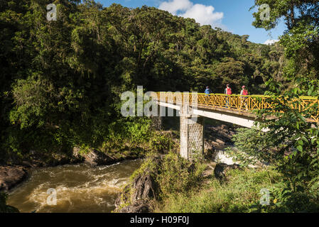 Les touristes en randonnée dans le Parc National de Ranomafana, Madagascar Hautes terres centrales, Madagascar, Afrique Banque D'Images