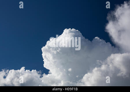 Blanc moelleux massive de nuages sur un ciel bleu Banque D'Images