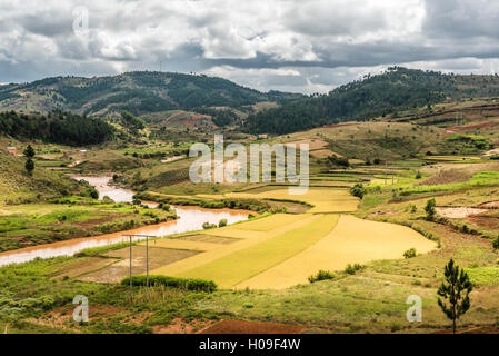 Paysage près de rizières de riz Antananarivo, Province d'Antananarivo, Madagascar, Afrique de l'Est Banque D'Images