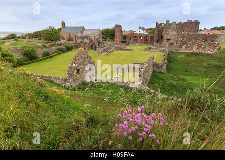 Prieuré de Lindisfarne, début site chrétien, et le village, elevated view, Holy Island, la côte de Northumberland, England, United Kingdom Banque D'Images