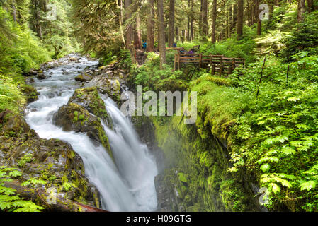 Sol Duc Falls, Olympic National Park, UNESCO World Heritage Site, Washington, États-Unis d'Amérique, Amérique du Nord Banque D'Images