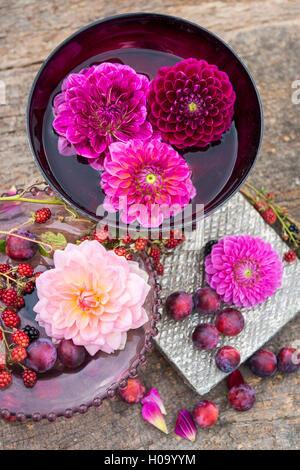 Dahlias (Dalia hybrides), Bourgogne et rose, en superposition dans des bols d'eau rouge, mûres (Rubus fruticosus) et des plats avec Banque D'Images