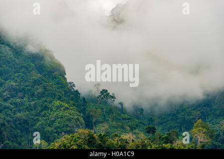 Montagnes karstiques enveloppée de nuages, rainforest, Nong Khiaw, Luang Prabang, Laos Banque D'Images