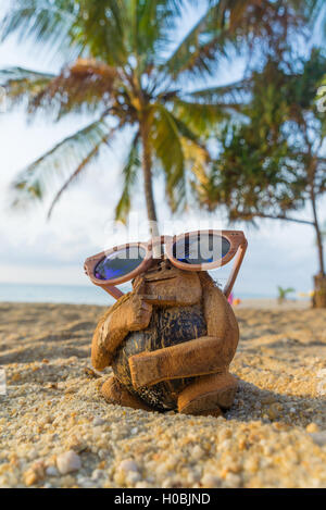 Coconut monkey sur la plage en Thaïlande Banque D'Images