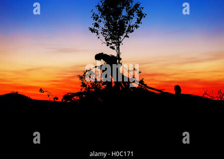 Beau paysage de coucher de soleil avec des silhouettes d'homme et enfant assis sur les branches d'arbres. Banque D'Images