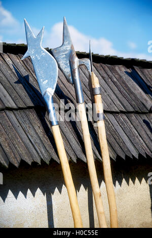 Jeu de l'âge moyen des armes de style s'appuyant sur toit de tuiles en bois Banque D'Images
