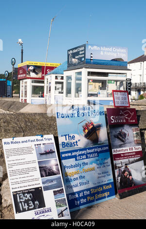 Des excursions en bateau pour Beaumaris Puffin Island Gwynedd au Pays de Galles Banque D'Images